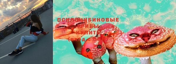 гашик Белоозёрский