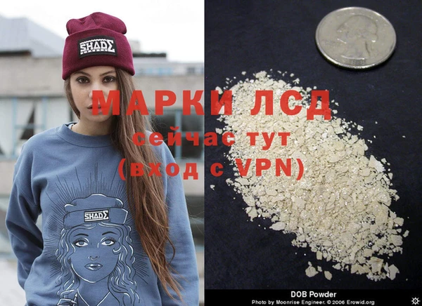 гидра Козельск