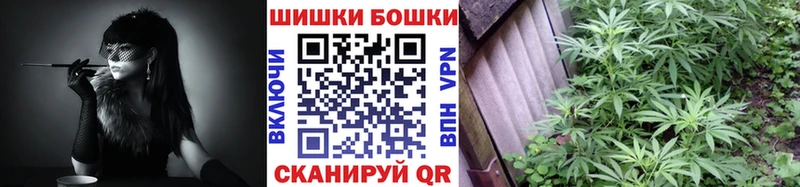 Конопля SATIVA & INDICA  Кингисепп 